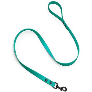 brklz Durable PVC Dog Leash, Turquoise, Medium/Large: 4-ft long, 3/4-in wide
