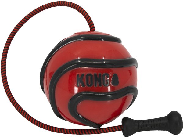 KONG Wavz Bunjiball Dog Toy, Color Varies, Large slide 1 of 4