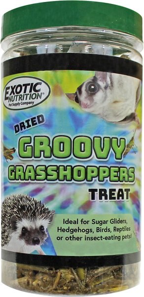 Exotic Nutrition Groovy Grasshoppers Small Animal Treats, 1.41-oz jar slide 1 of 4