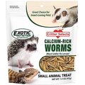 Exotic Nutrition Dried Black Soldier Fly Larvae Small Animal Treats, 1.5-oz bag