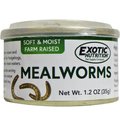 Exotic Nutrition Mealworms Hedgehog Treats, 1.2-oz can