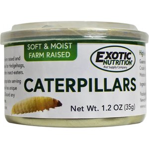 Exotic Nutrition Caterpillars Hedgehog Treats, 1.2-oz can