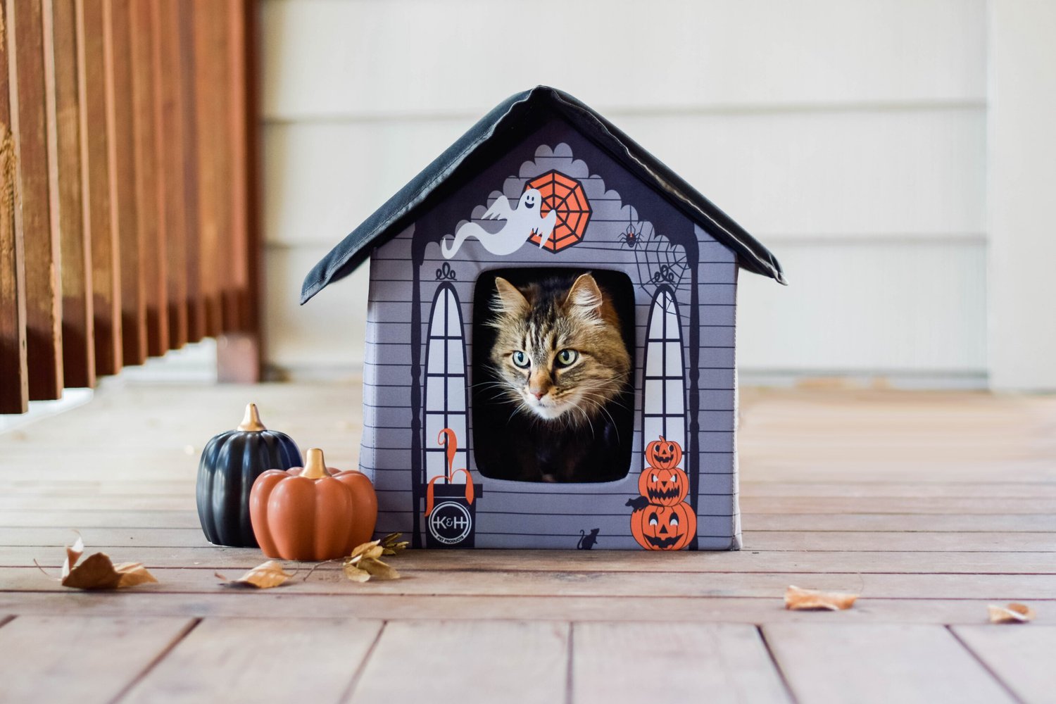 K&H Pet Products Haunted Halloween Outdoor Cat House - Chewy.com