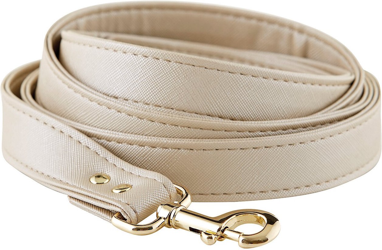 CREATIVE BRANDS Saffiano Dog Leash, Champagne, 6-ft long, 1-in wide ...