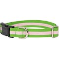 Harry Barker Eton Polyester Dog Collar, Pink & Green, Medium: 13 to 17-in neck, 1-in wide