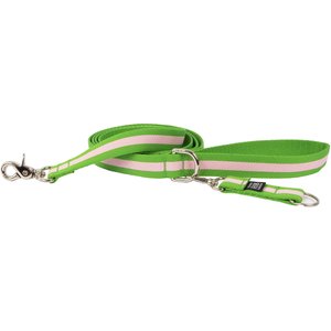 Harry Barker Eton Dog Leash, Green & Pink, 3/4-in, 6-ft