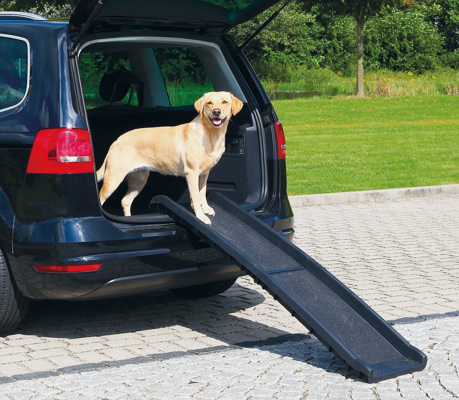 lightweight folding dog ramp