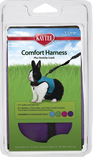 Kaytee Comfort Harness & Stretchy Leash, X-Large, Assorted Colors slide 1 of 1