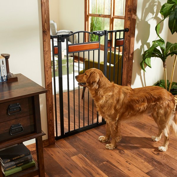Frisco Wood Accents Extra Tall Auto-close Dog Gate, 41-in, Black slide 1 of 6