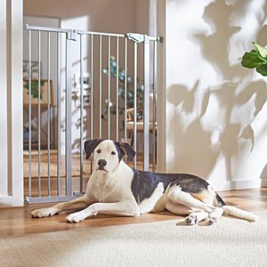 Frisco Steel Extra Tall Auto-Close Dog Gate, 41-in, Gray