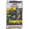 Lyric Black Oil Sunflower Wild Bird Food, 25-lb bag