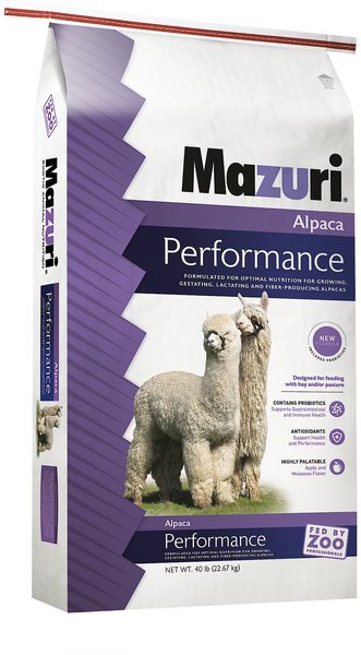 Mazuri Alpaca Performance Alpaca Food, 40-lb bag slide 1 of 9