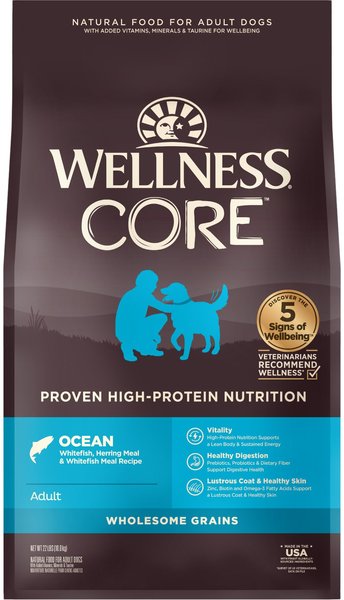 Wellness CORE Wholesome Grains Ocean Recipe High Protein Dry Dog Food, 22-lb bag slide 1 of 7