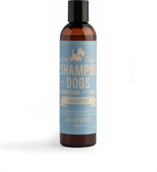 Black Sheep Organics Allergy Free Dog Shampoo, 8-oz bottle slide 1 of 2