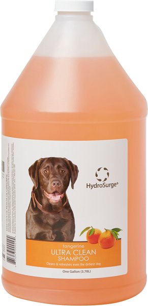 Hydrosurge Ultra Clean Tangerine Scent Dog Shampoo, 1-gal bottle  slide 1 of 3