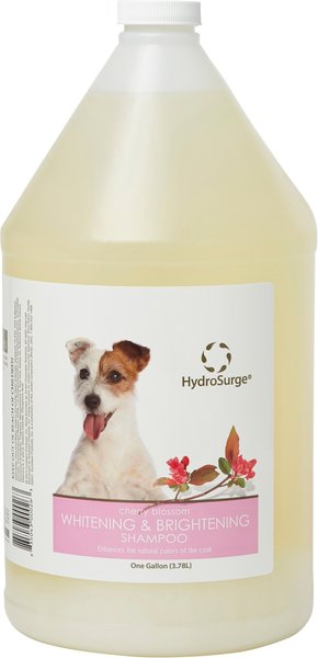 Hydrosurge Whitening & Brightening Cherry Blossom Scent Shampoo, 1-gal bottle  slide 1 of 2