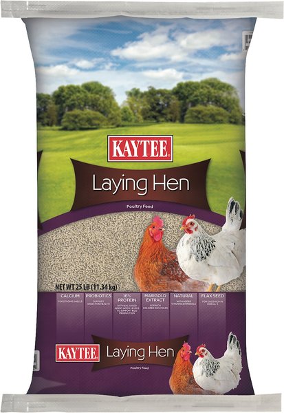 Kaytee Laying Hen Diet Chicken Feed, 25-lb bag slide 1 of 9