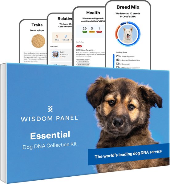 chewy.com | Wisdom Panel Essential Breed Identification DNA Test for Dogs