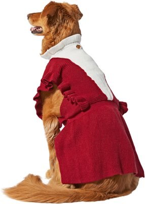 Frisco V Ruffle Dog & Cat Sweater Dress, slide 1 of 1