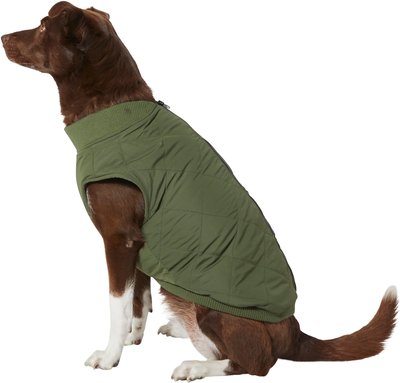Frisco Lightweight Insulated Bomber Dog & Cat Jacket, slide 1 of 1