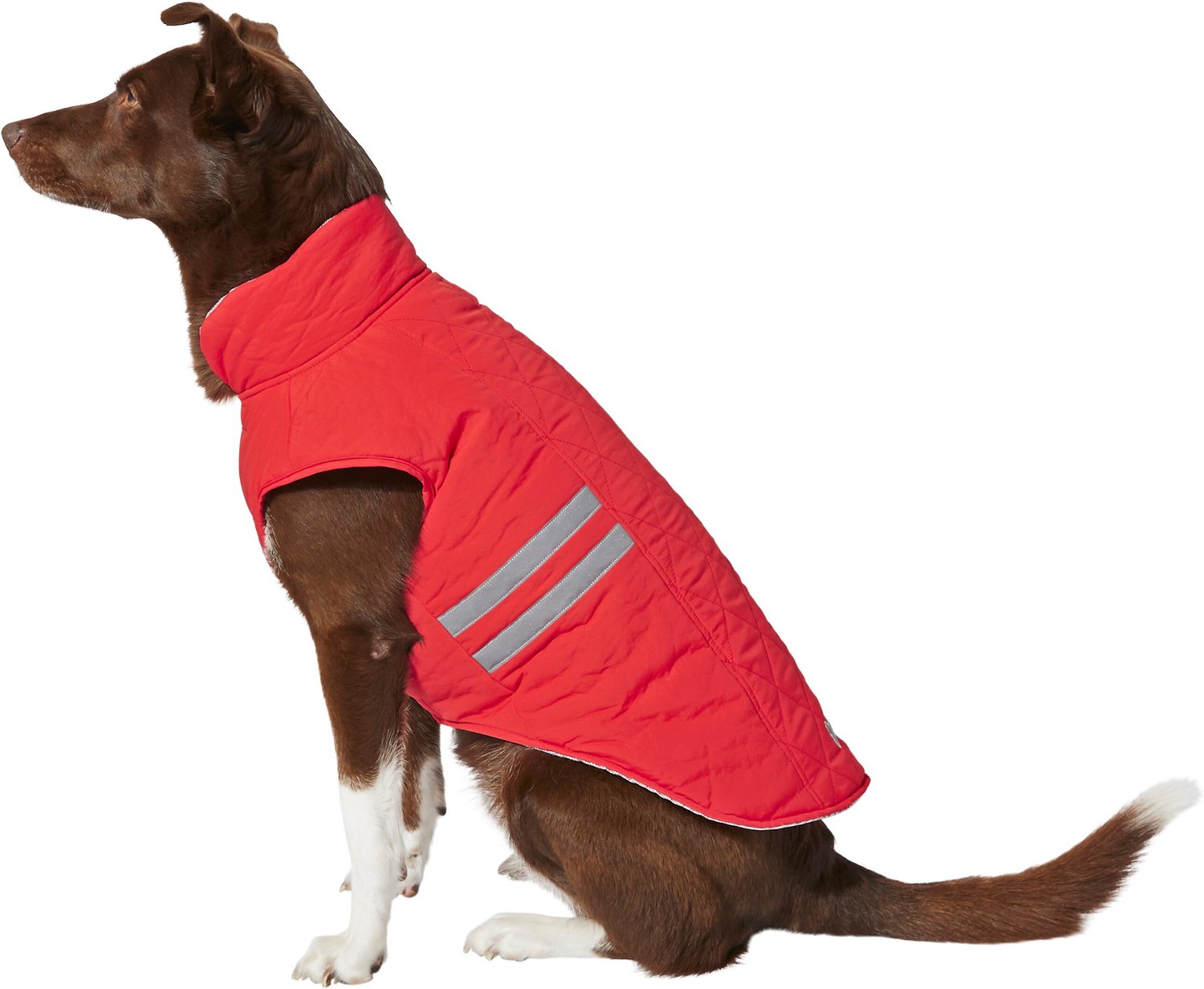 FRISCO Reflective Insulated Dog & Cat Coat with Thermal Lining, Red, X ...