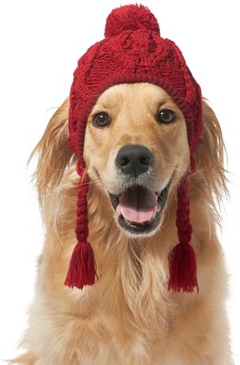 Frisco Cable Knit Dog & Cat Knitted Hat, slide 1 of 1