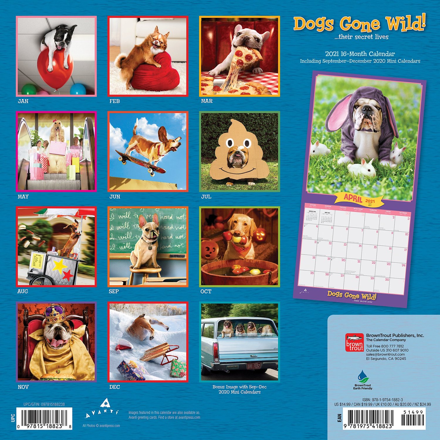 Avanti Dogs Gone Wild 2021 Wall Calendar