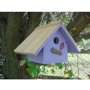 Bird Houses by Mark Chateau Wren Bird House, Lavender