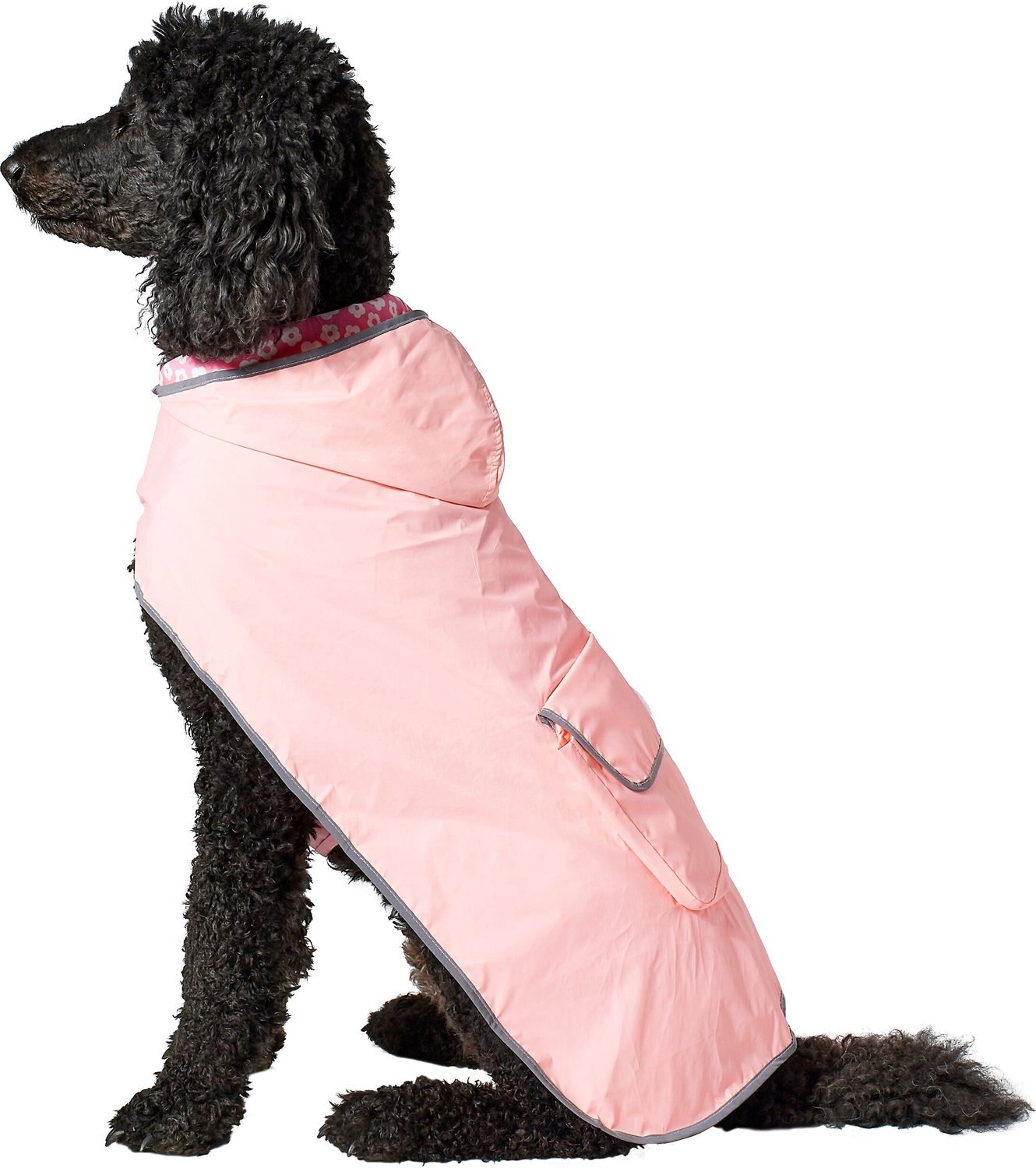 FRISCO Reversible Packable Travel Dog Raincoat, XXX-Large - Chewy.com