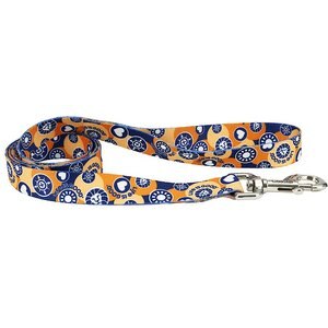 LIFE IS GOOD Styles Pawsitivity Polyester Dog Leash, 4-ft long, 3/8-in wide
