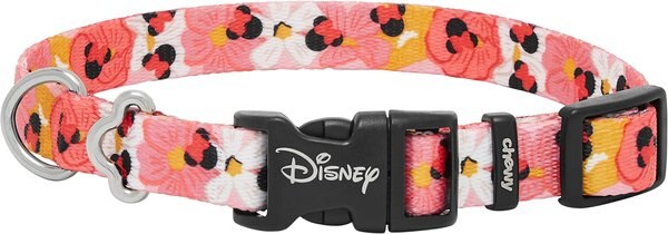Disney Minnie Mouse Floral Dog Collar, SM - Neck: 10 - 14-in, Width: 5/8-in slide 1 of 6