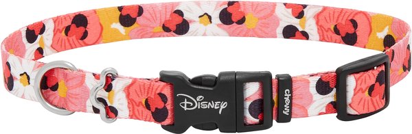 Disney Minnie Mouse Floral Dog Collar, MD - Neck: 14 - 20-in, Width: 3/4-in slide 1 of 6