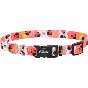 Disney Minnie Mouse Floral Dog Collar, MD - Neck: 14 - 20-in, Width: 3/4-in