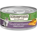 Scrumptious From Scratch Chicken & Pumpkin Dinner In Gravy Canned Cat Food, 2.8-oz, case of 12