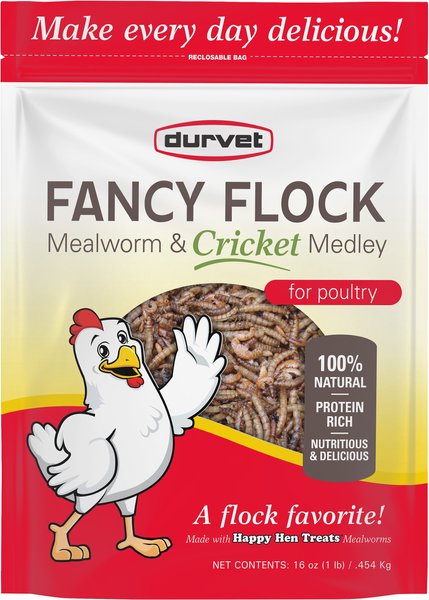 Durvet Fancy Flock Mealworm & Cricket Medley Poultry Treats, 16-oz bag slide 1 of 1