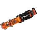 Frisco Orange Cobwebs Polyester Dog Collar, X-Small: 8 to 12-in neck, 5/8-in wide
