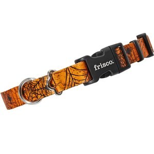 Frisco Orange Cobwebs Polyester Dog Collar, Medium: 14 to 20-in neck, 3/4-in wide