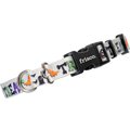 Frisco Trick or Treat Polyester Dog Collar, Medium: 14 to 20-in neck, 3/4-in wide