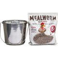 Flock Fest Dried Mealworms Adult Chicken Treats, 5-lb bag & Stainless Steel Feeder Bucket