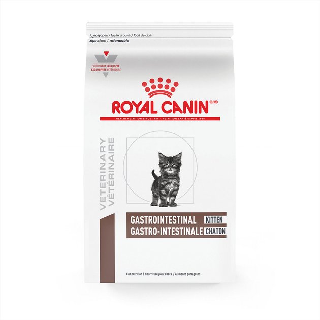 royal canin kitten pret