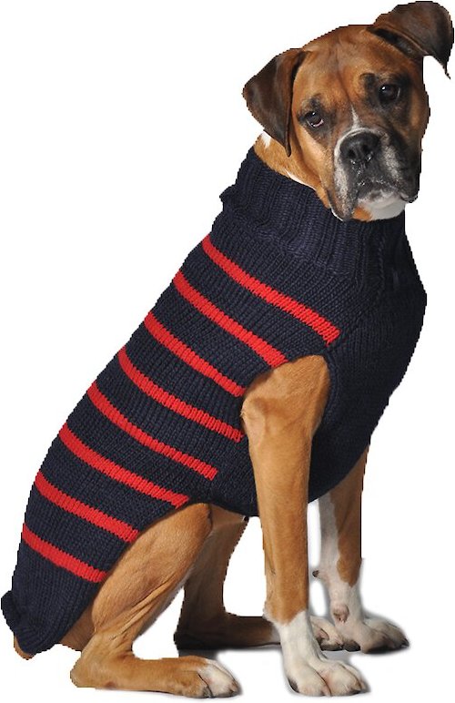 dog sweater chewy