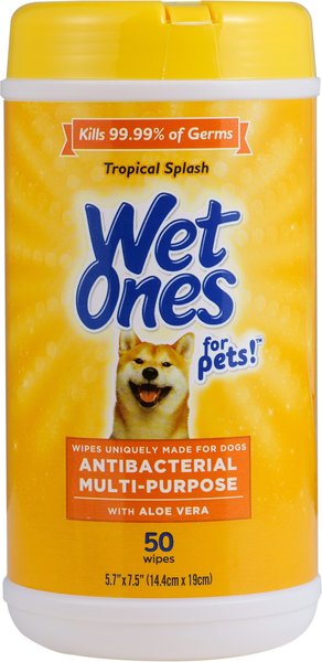 Wet Ones Anti Bacterial Multi-Purpose Tropical Splash Scent Dog Wipes, 50 count slide 1 of 3