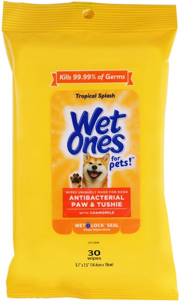 Wet Ones Anti Bacterial Paw & Tushie Tropical Splash Scent Dog Wipes, 30 count slide 1 of 3