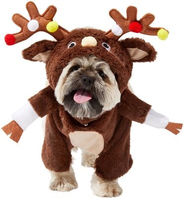 Frisco Front Walking Reindeer Dog & Cat Costume, slide 1 of 1