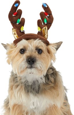 Frisco Holiday LED Antler Dog & Cat Headpiece, slide 1 of 1