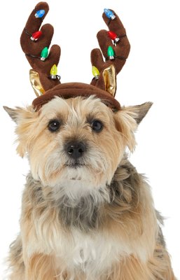 Frisco Holiday LED Antler Dog & Cat Headpiece, slide 1 of 1