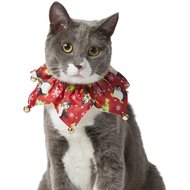 festive cat collars