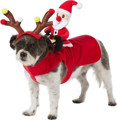 Frisco Santa Rider Dog & Cat Costume, slide 1 of 1