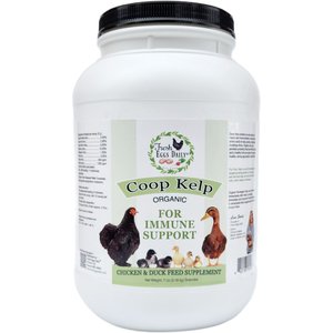 Fresh Eggs Daily Coop Kelp Organic Chicken & Duck Supplement, 7-lb jar