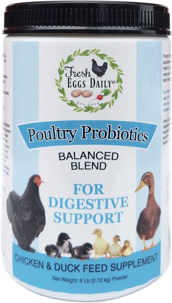 Fresh Eggs Daily Poultry Probiotics Balanced Mix Chicken & Duck Supplement, 16-oz jar slide 1 of 4